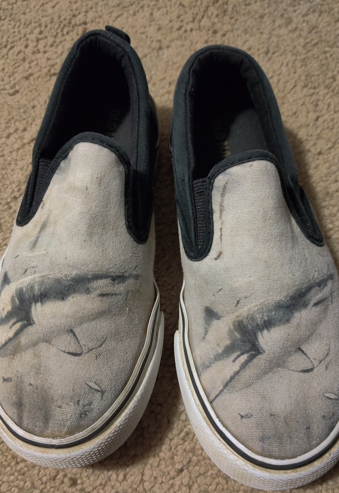 Shark slip-ons sz 2